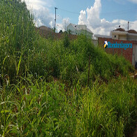 Por limpeza e calçadas, fiscalização notifica dezenas de donos de terrenos em Porto Velho