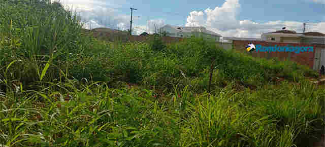 Por limpeza e calçadas, fiscalização notifica dezenas de donos de terrenos em Porto Velho