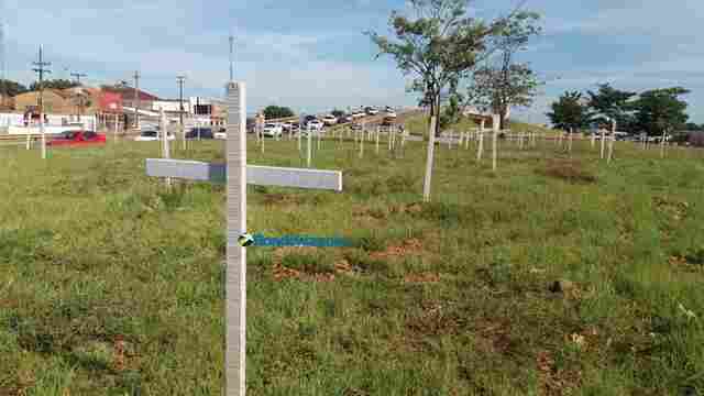 Cruzes são colocadas no Trevo do Roque para lembrar mortes no trânsito