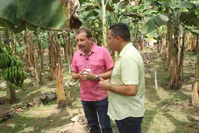 Organização da produção é fundamental para agronegócio, diz Hildon