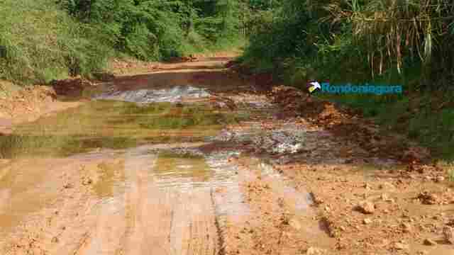 Obras no Belmont devem começar nesta quarta