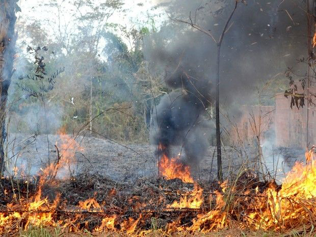 Prefeitura de Jaru alerta população sobre queimadas urbanas