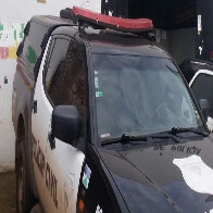 Sitiante denuncia furto de mais de 1 mil animais e equipamentos em Corumbiara