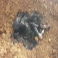 Morador encontra corpo carbonizado na zona rural de Porto Velho