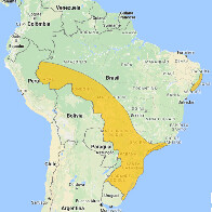Temperatura ainda estará amena nesta quarta-feira em Rondônia, garante Sipam