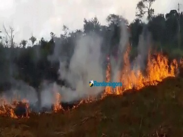 Chegada de tempo seco em Rondônia deixa Bombeiros e Prevfogo em alerta para queimadas