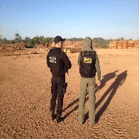 PF, Ibama e Receita deflagram Operação Máfia da Tora em Rondônia