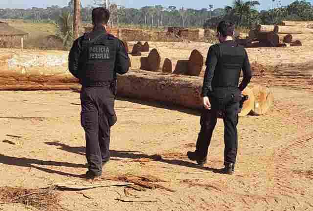 PF prendeu 4 durante Operação Máfia da Tora