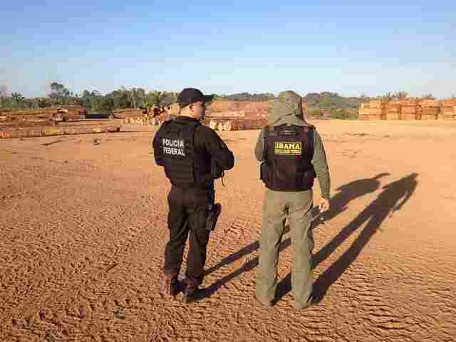 PF, Ibama e Receita deflagram Operação Máfia da Tora em Rondônia