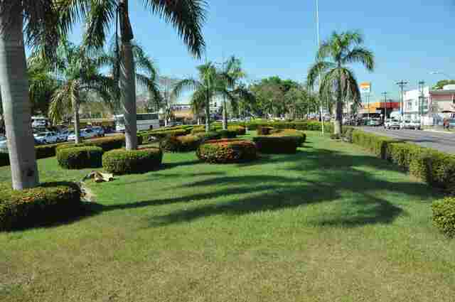 Prefeitura anuncia projeto para adoção de jardins nas rodovias federais em Porto Velho