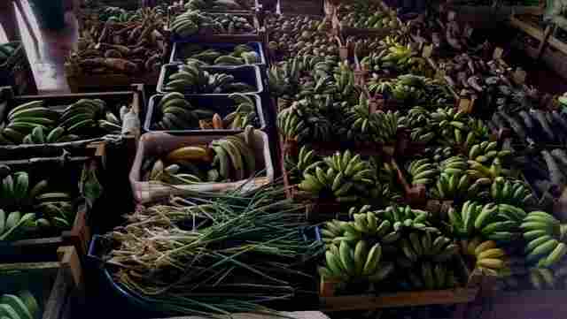 Programa de Aquisição de Alimentos diversifica agricultura familiar e terá adição de R$ 9 milhões