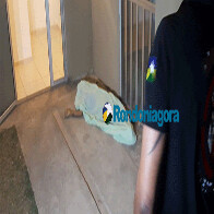 Adolescente é assassinado a tiros no Orgulho do Madeira