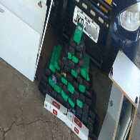 PRF prende mulher com 65 quilos de maconha dentro de ônibus