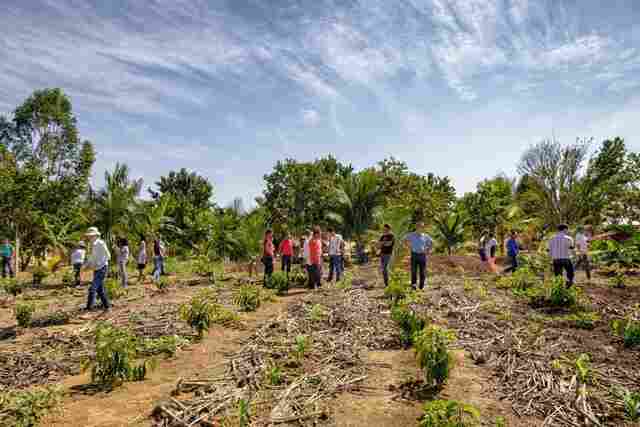 De agricultor para agricultor: semeando a sustentabilidade