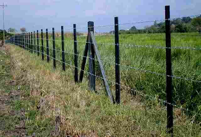 Deputado Lúcio Mosquini apresenta projeto de lei que libera porte de arma em propriedades rurais