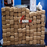 Traficante é preso 65 quilos de maconha