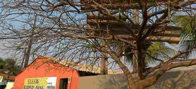 Chuva com fortes ventos causa destruição no Bairro Nacional; Escola ficou destelhada; fotos