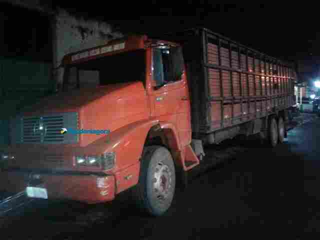 Dupla é presa furtando gado em sítio na Estrada da Penal