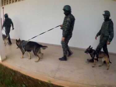 Exército faz operação nos presídios Pandinha e Ênio Pinheiro