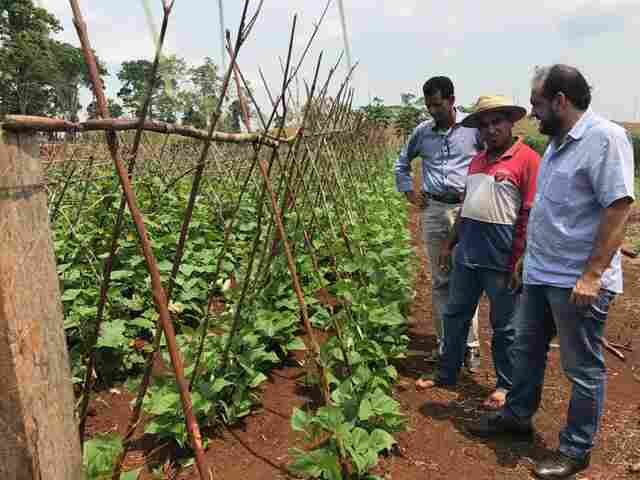 Laerte Gomes faz gestão em prol de horticultores da região de Ji-Paraná