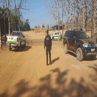 Operação Warã, da PF em Rondônia, combate exploração de madeiras em terras indígenas