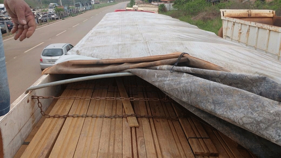 PRF apreende 60 metros cúbicos de madeira irregular em Porto Velho