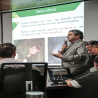 Rondônia deixará de vacinar rebanho contra febre aftosa a partir de 2018, diz Ministério da Agricultura