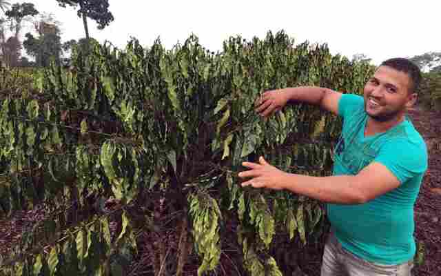Produtor de Cacoal vence 2ª edição do Concurso de Qualidade e Sustentabilidade do Café de Rondônia