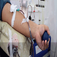 Na semana da criança, Fhemeron faz apelo aos adultos para doação de sangue