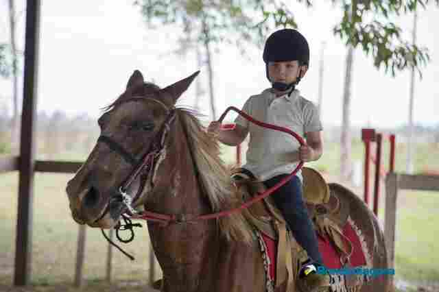 Equoterapia é usada para ajudar tratamento de crianças em Porto Velho