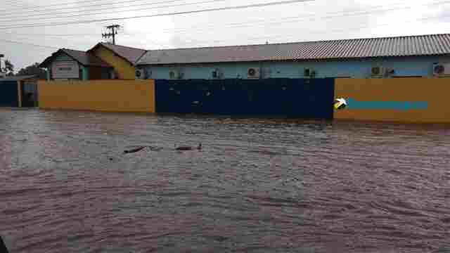 Temporal deixa vias alagadas em boa parte de Porto Velho e derruba arvores
