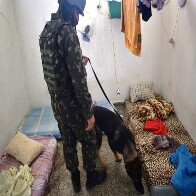 Ação das Forças Armadas em presídios de Rondônia chega a Casa de Detenção de Jaru