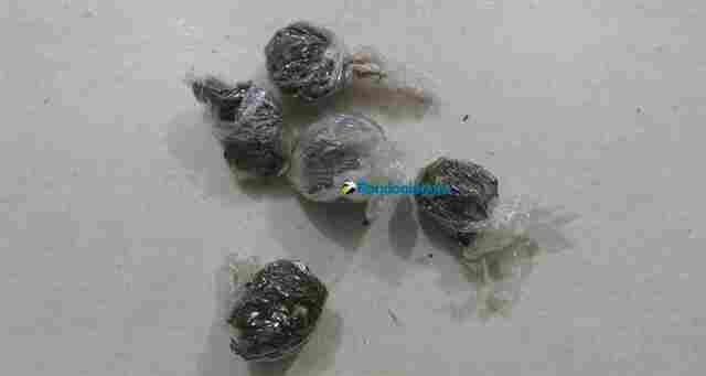 Adolescente é flagrado vendendo drogas por telefone na Zona Leste de Porto Velho