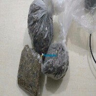 Casal é flagrado com drogas e confessa que alugou apartamento na Zona Leste para vender produto