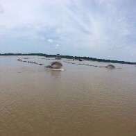 Obra de dragagem do Rio Madeira retira mais de 190 mil metros cúbicos de barro na região de Miriti
