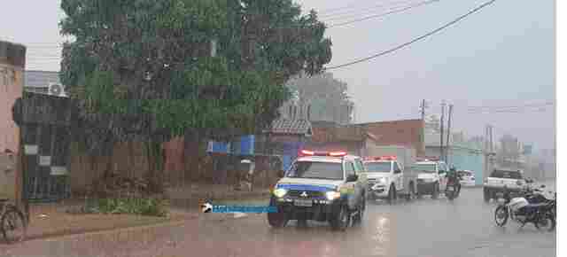 Homem morre após cair de árvore