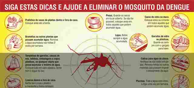 População deve manter limpeza de terrenos no período chuvoso como forma de combate à dengue