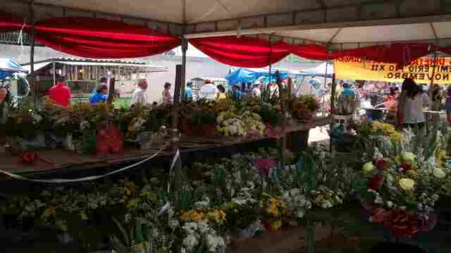 Fiscalização nos cemitérios será rigorosa no Dia de Finados em Porto Velho