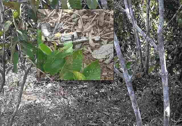 Polícia explica como corpo foi encontrado e descarta que órgão genital de torturador tenha sido cortado