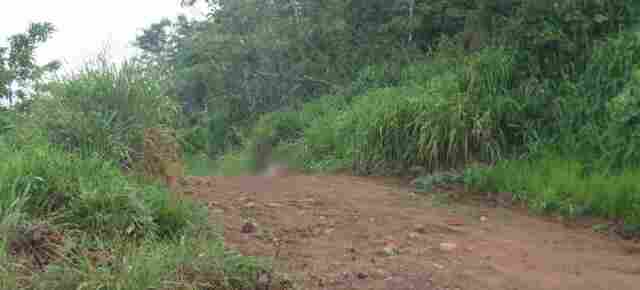 Homem é encontrado morto a tiros próximo a lixão