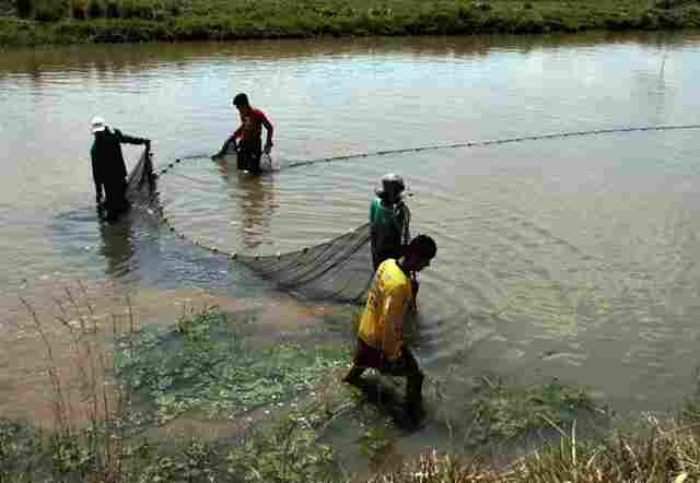 Proibição de pesca amadora ou profissional começa a valer dia 15 em todo o Estado