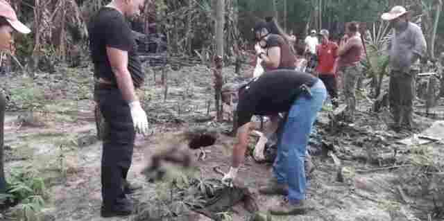 Restos mortais de mulher são encontrados em cova rasa de sítio