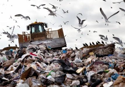 Justiça determina interdição do lixão de Nova Brasilândia