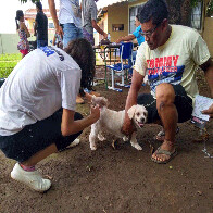 Centenas de animais são imunizados contra raiva neste sábado em Porto Velho