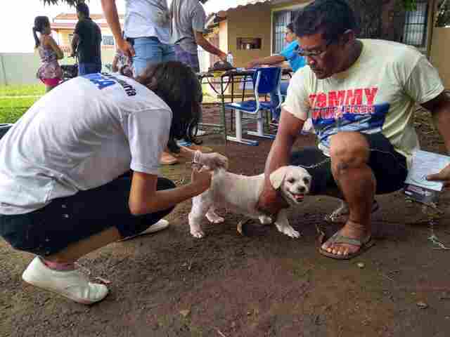 Centenas de animais são imunizados contra raiva neste sábado em Porto Velho