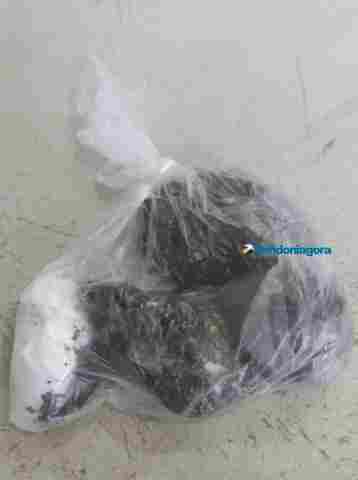 Mulher é flagrada tentando entrar em presídio com droga escondida nas partes íntimas