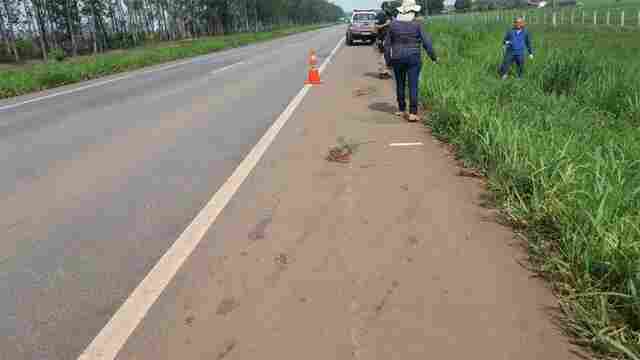 PRF não confirma se homem encontrado às margens da BR-364 foi vítima de acidente