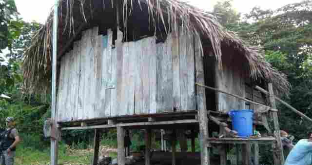 Por causa de égua, filho mata a própria mãe e depois é morto pelo irmão no Acre