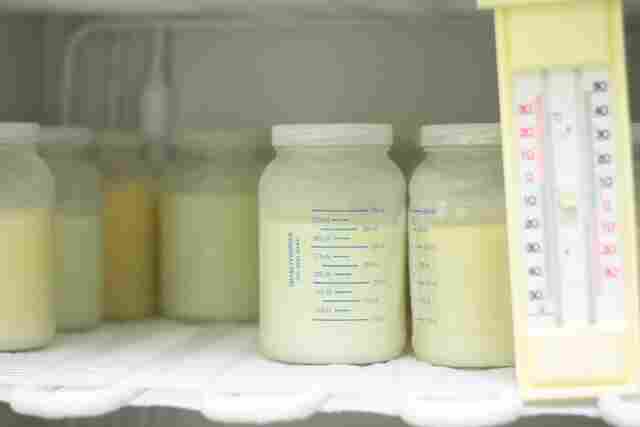 Doação de leite materno alimentou mais de 600 bebês da UTI Neonatal do Hospital de Base