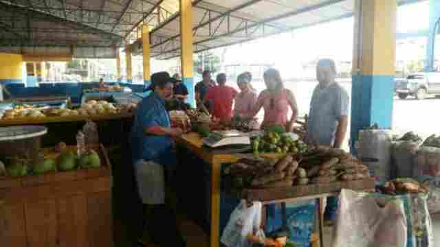 Potencial agrícola na área rural de Porto Velho será ampliado em 2018